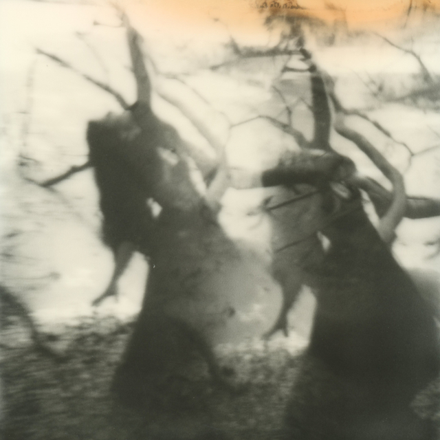 Julia Beyer, ‘She's Lost Control’, 2017, Photography, Digital C-Print based on a Polaroid, not mounted, Instantdreams