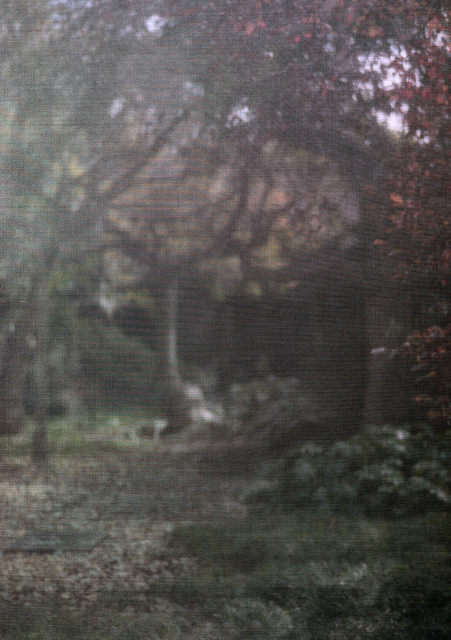 Flo Maak, ‘Screen’, 2020, Photography, Pigment print in artist frame with museum glass, Bernhard Knaus Fine Art