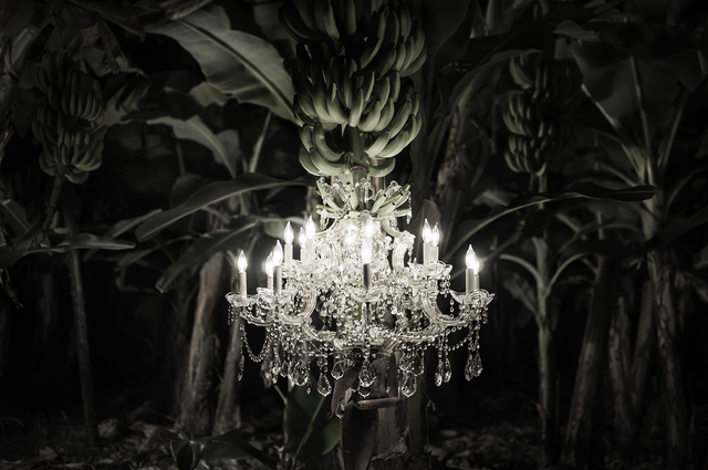 Gonzalo Fuenmayor, ‘Genesis III - Papere Series . Edition of 3 + 2 AP’, 2013-2020, Dot Fiftyone Gallery