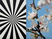 Exstacy Almond Blossom 2 (L) 2008