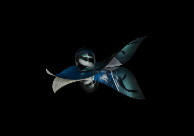 image-zoom