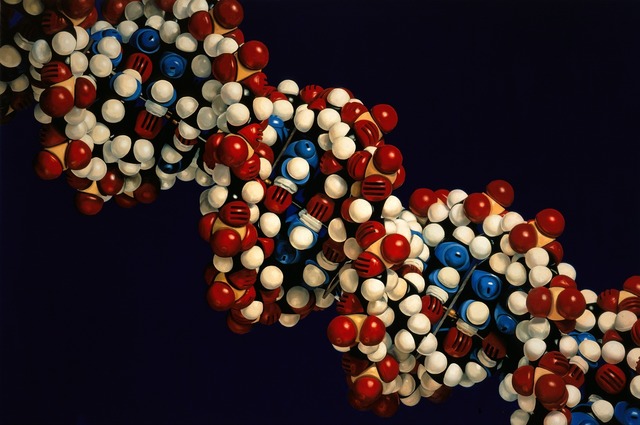 Damien Hirst, ‘The Structure of Deoxyribonucleic Acid’, 2003-2004, Gagosian