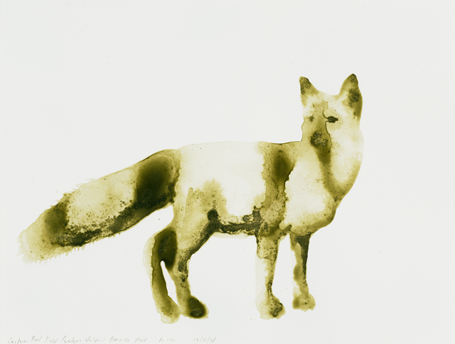 Alexis Rockman, ‘Eastern Red Fox (Vulpes vulpes)’, 2014, Parrish Art Museum