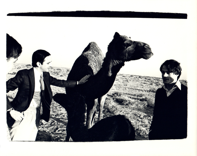 Andy Warhol, ‘Andy Warhol, Photograph of Fred Hughes and Jed Johnson with Camel in Kuwait 1977’, 1977, Hedges Projects