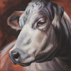 Aimee Rolin Hoover