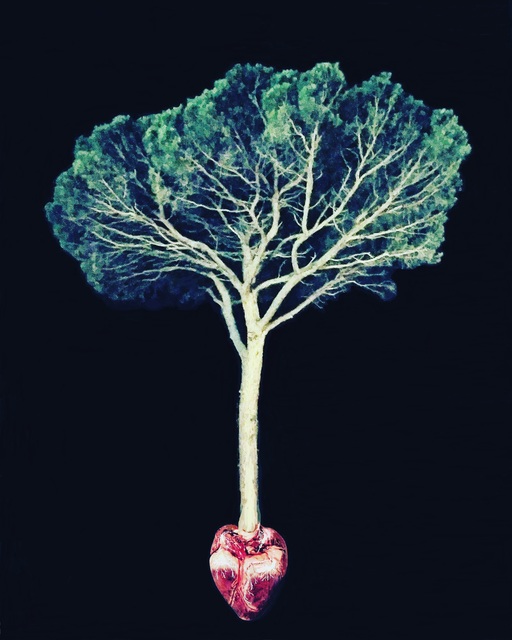 Alberto Magrin, ‘Me by night’, 2020, Photography, Print fine art on aluminum, Magreen Gallery