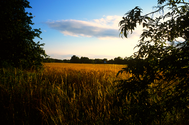 Justin Partyka, ‘Landscape and Cloud, Mellis Common, Suffolk’, 2014, Osborne Samuel