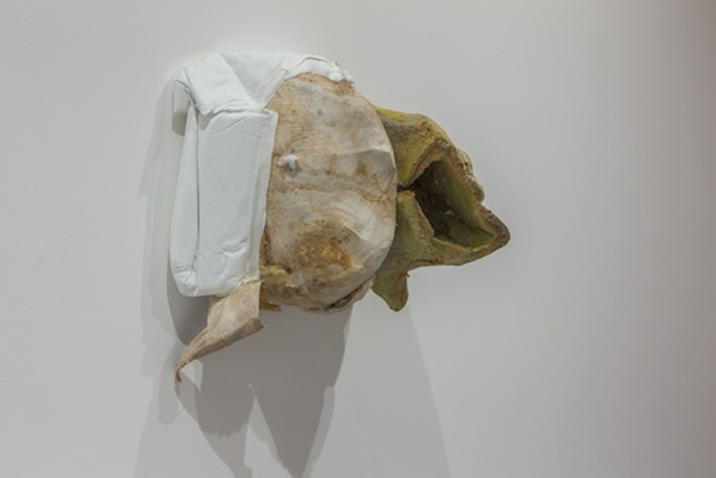 Peter Buggenhout Mont Ventoux #20
2016
Polyurethane, intestine, wax, epoxy Peter Buggenhout Mont Ventoux #20
2016
Polyurethane, intestine, wax, epoxy