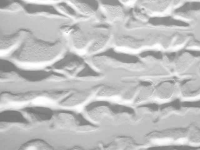 Jill Downen, ‘Spine’, 2011, Bruno David Gallery & Bruno David Projects