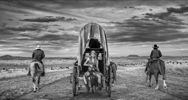 David Yarrow, ‘Amarillo By Morning’, 2020, Photography, Archival Pigment Print, Hilton Asmus
