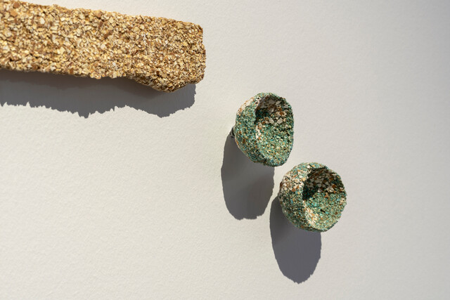 Ring Around the Rosie Within the Pores — Gülşah Mursaloğlu (2024)
