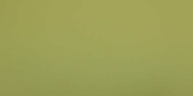 Nicole Hassler, ‘NATURE’, 2019, Galerie Arnaud Lefebvre