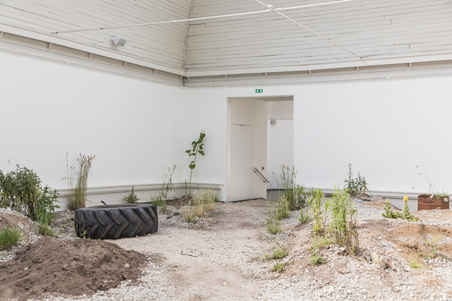 Tue Greenfort, ‘Ruderat’, 2017, Den Frie Centre of Contemporary Art
