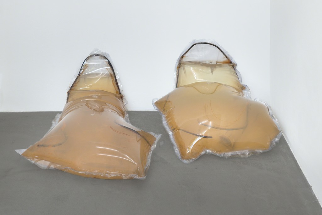 Installation view, Cannibals, 2015, Photocredit Joachim Schulz, Courtesy Croy Nielsen Installation view, Cannibals, 2015, Photocredit Joachim Schulz, Courtesy Croy Nielsen