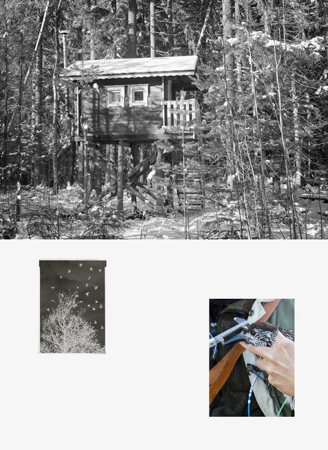 Sanna Kannisto, ‘Forest hide-out, negative, spotted nutcracker being ringed’, 2019, Photography, Pigment ink-print, maple frame, Helsinki Contemporary