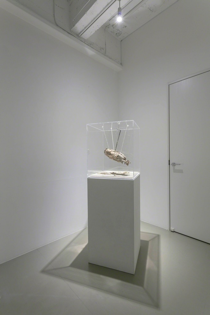 《Plastic Model of Torpedo》 2017 (Yoshimi Arts/Osaka), (c) Haruko Sasakawa, photo by Kiyotoshi Takashima 《Plastic Model of Torpedo》 2017 (Yoshimi Arts/Osaka), (c) Haruko Sasakawa, photo by Kiyotoshi Takashima