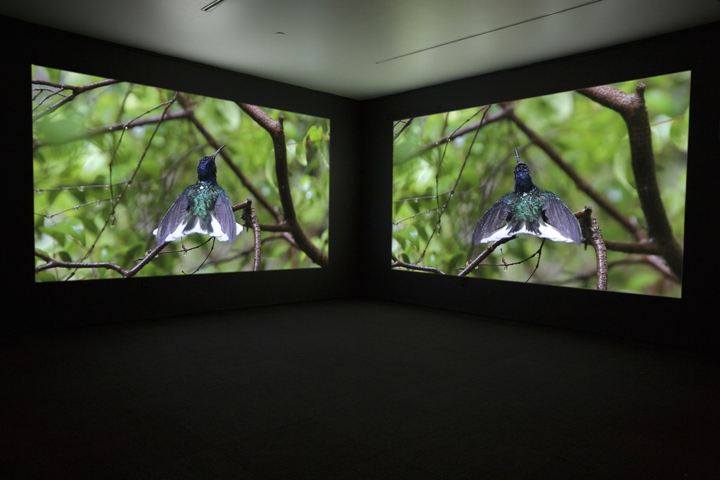 JANET BIGGS
The Persistence of Hope (video still)
2015, two-channel high definition video installation (sound, color), run time: 7:24.
With Arctic footage from Katja Aglert's Winter Event-antifreeze, 2009 (filmed by Janet Biggs). JANET BIGGS
The Persistence of Hope (video still)
2015, two-channel high definition video installation (sound, color), run time: 7:24.
With Arctic footage from Katja Aglert's Winter Event-antifreeze, 2009 (filmed by Janet Biggs).