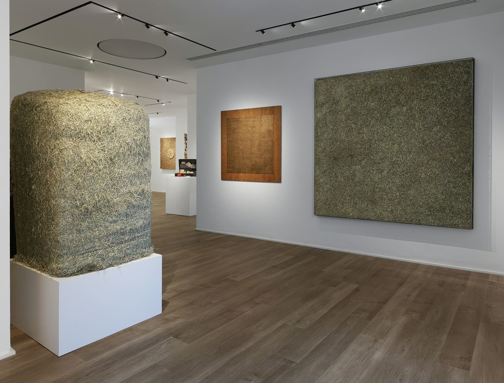 Photo by PCA
Courtesy Cortesi Gallery London, Milano, Lugano Photo by PCA
Courtesy Cortesi Gallery London, Milano, Lugano