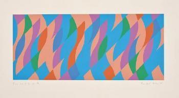 Bridget Riley - From one to the other