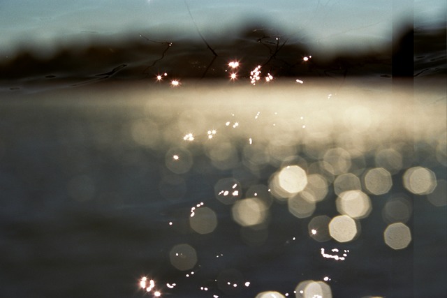 Leah Oates, ‘Natural Dots I’, 2015, Susan Eley Fine Art