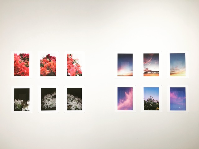 Ariana Sturr, ‘Missed Connections’, 2016, Open Mind Art Space