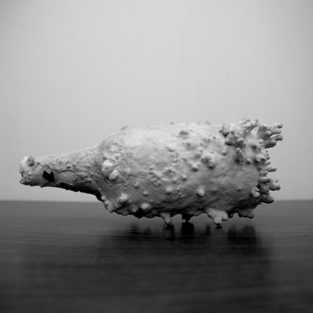 Johanna Breiding, ‘ Pastness as Unidentifiable Position (Pearl Diver)’, 2019, Ochi Projects