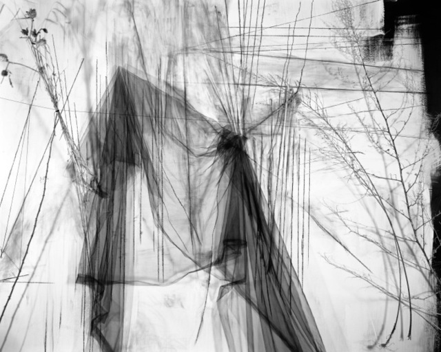 Lauren Semivan, ‘May’, 2011, Photography, Archival ink print, Benrubi Gallery