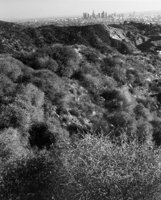 Bruce Davidson, ‘Mulholland Highway, Los Angeles, California’, 2008, ROSEGALLERY