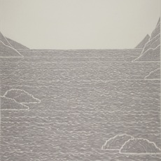 Wang Chao (b. 1985)