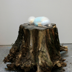 Hirofumi Fujiwara