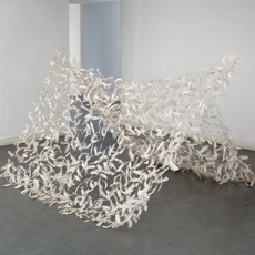 Shelagh Wakely