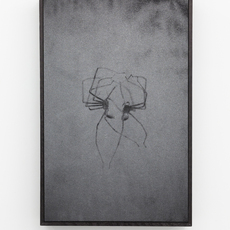 Dries Segers