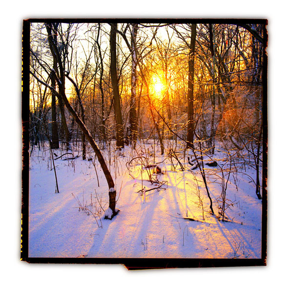 David Glick, ‘Snow ’, Photography, Color Photograph, Zenith Gallery