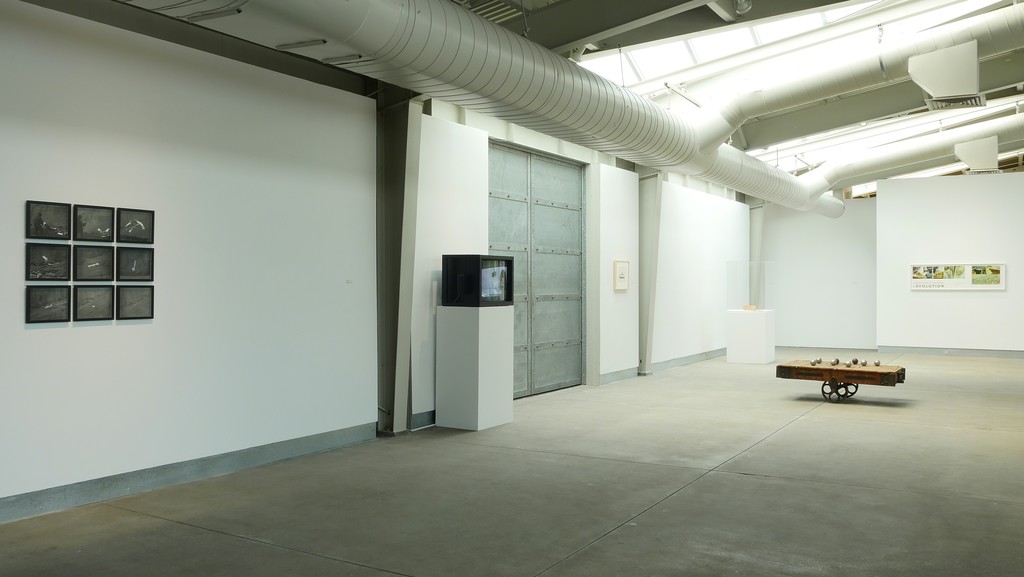 Installation view of Equilibrium: A Paul Kos Survey. April 16 - October 2, 2016. di Rosa, Napa. Photo: J. Jones Installation view of Equilibrium: A Paul Kos Survey. April 16 - October 2, 2016. di Rosa, Napa. Photo: J. Jones