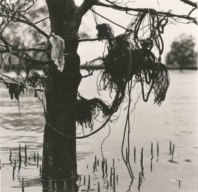 Simryn Gill, ‘Channel’, 2014, Jhaveri Contemporary