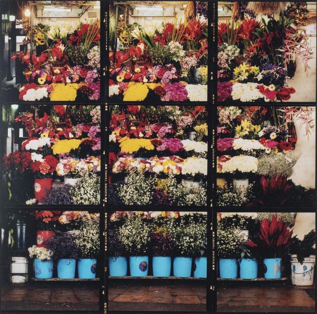 Cyntia Soto, ‘Floristeria’, 2006, Itineris