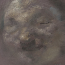 Xia xiao wang