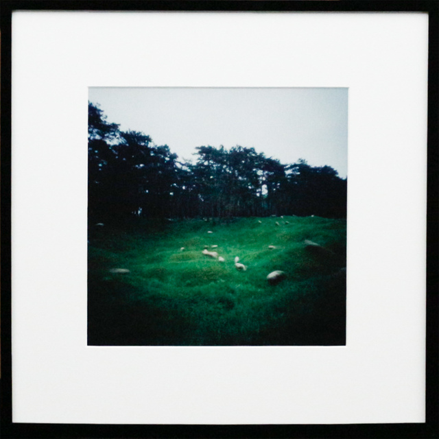 Dianne Bos, ‘Vimy Ridge Minefield w. Grazing Sheep, Ed./1’, 2015, Newzones