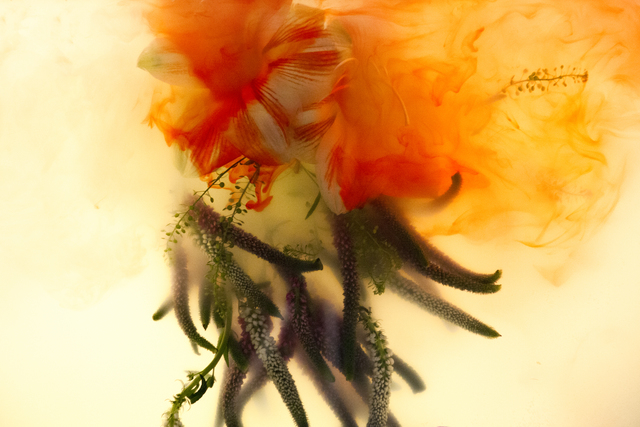 Ashley G. Garner, ‘MI-528Hz (Orange)’, 2017, Photography, Aluminum, Wallplay