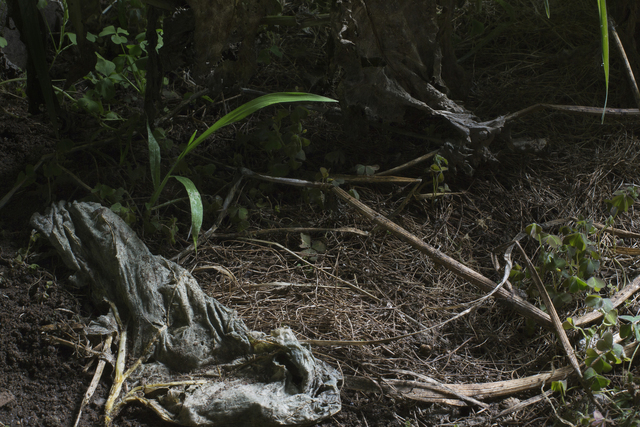 Sharon Core, ‘Untitled #6’, 2015, Yancey Richardson Gallery
