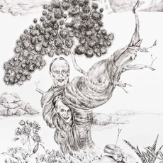 Ali Elmacı