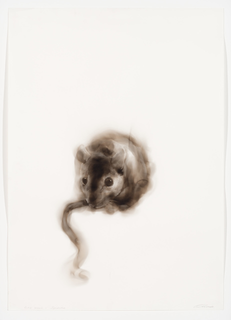 Diane Victor, ‘Bad Word – Squealer’, 2018, Goodman Gallery