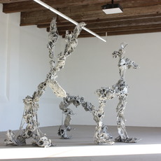 Karl Karner