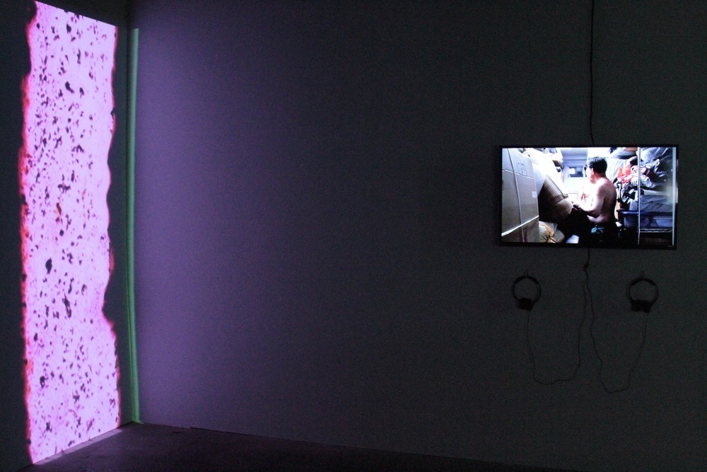 Edible Planets / Soylent Dialogues, Installation Edible Planets / Soylent Dialogues, Installation