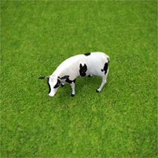 Holstein Herd
