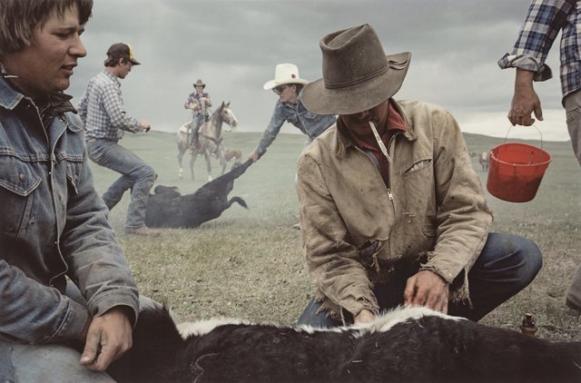 Sam Abell, ‘Buffalo, Montana’, 1985, Photography, Dye coupler, Heritage Auctions