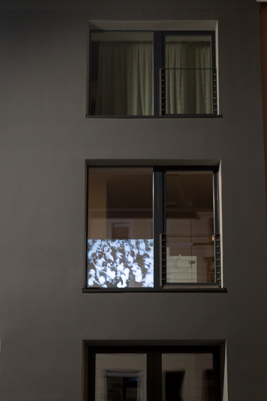 Helga Fanderl, "The Colour Run", 2013, digitized version, b/w, without sound, 16 mm film, projection on the window, filmstill | image: ©dasesszimmer Helga Fanderl, "The Colour Run", 2013, digitized version, b/w, without sound, 16 mm film, projection on the window, filmstill | image: ©dasesszimmer