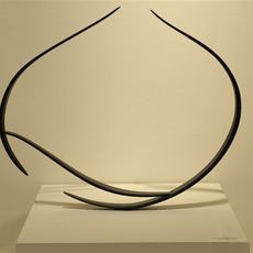 Will Clift