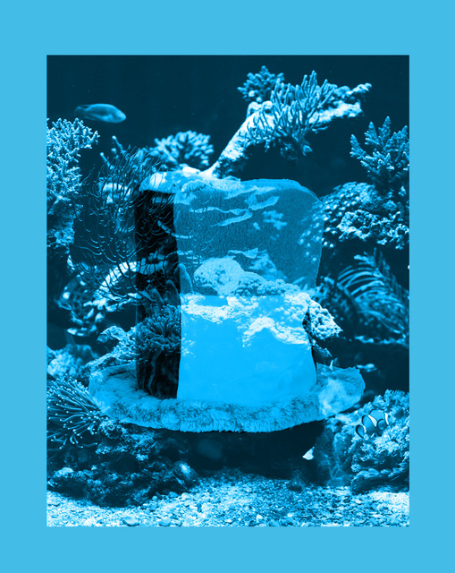 Kaspar Müller, ‘I was in Trinidad and learned a lot, 2’, 2011, Photography, Inkjet auf Papier, Plexiglas, Galerie Francesca Pia