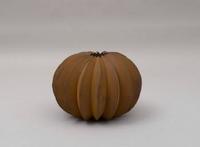 Stella della zucca